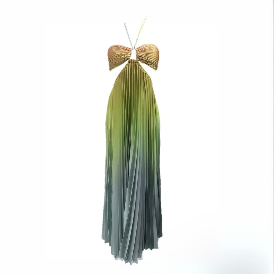 'Genela' gradient pleated long dress